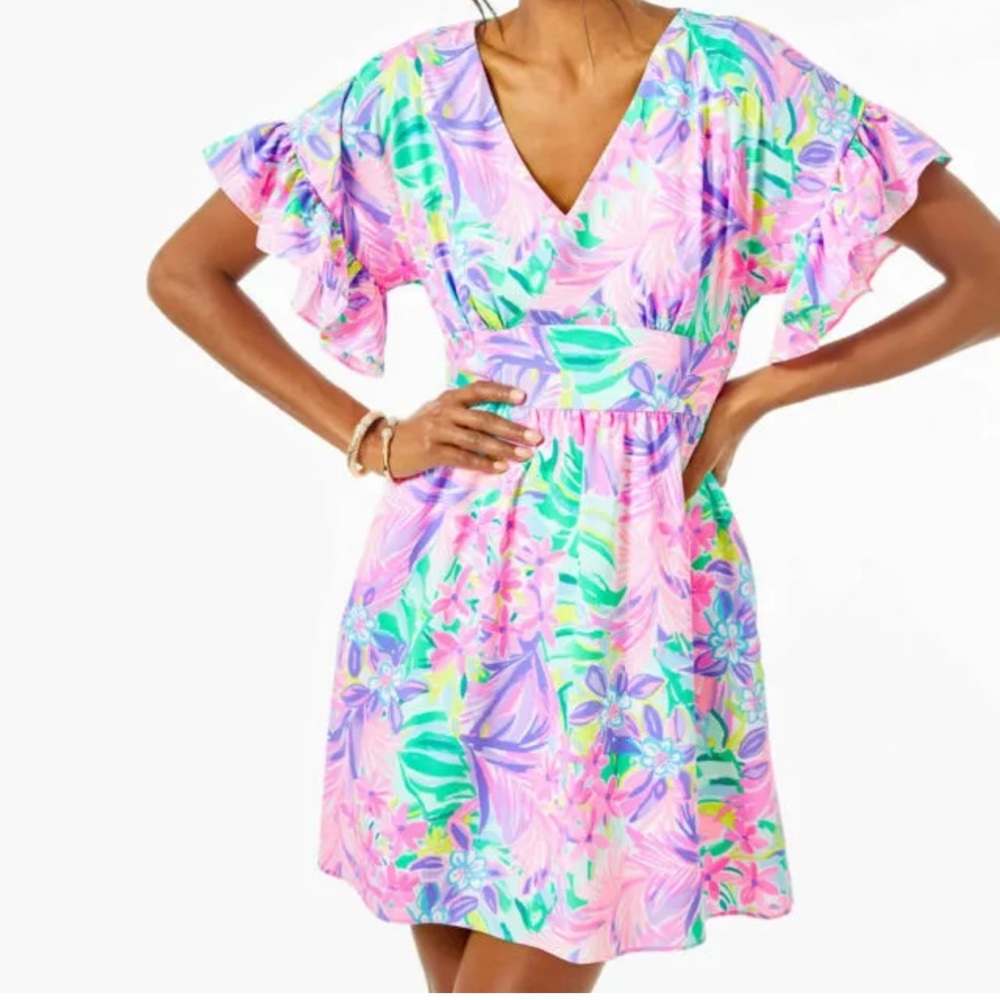 NWT Lilly Pulitzer Blaire Fit and Flare Stretch Dress